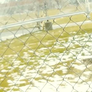 Meet your Posher, Aj